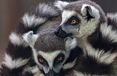 节奏动作游戏《节拍灵魂》将于今年2月登陆主机